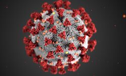 ഇടുക്കി ജില്ലയില് ഇന്ന് 439 പേര്ക്ക് കൂടി കൊവിഡ്; ടെസ്റ്റ് പോസിറ്റിവിറ്റി നിരക്ക് 18.46 ഇടുക്കി ജില്ലയില് ഇന്ന് 439 പേര്ക്ക് കൂടി കൊവിഡ്; ടെസ്റ്റ് പോസിറ്റിവിറ്റി നിരക്ക് 18.46