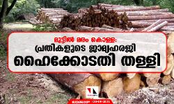 เดฎเตเดเตเดเดฟเดฒเตโ เดฎเดฐเด เดเตเดณเตเดณ: เดชเตเดฐเดคเดฟเดเดณเตเดเต เดเดพเดฎเตเดฏเดนเดฐเดเดฟ เดนเตเดเตเดเตเดเดคเดฟ เดคเดณเตเดณเดฟ เดฎเตเดเตเดเดฟเดฒเตโ เดฎเดฐเด เดเตเดณเตเดณ: เดชเตเดฐเดคเดฟเดเดณเตเดเต เดเดพเดฎเตเดฏเดนเดฐเดเดฟ เดนเตเดเตเดเตเดเดคเดฟ เดคเดณเตเดณเดฟ