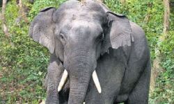 เดเดพเดเตเดเดพเดจเดฏเตเดเต เดเดเตเดฐเดฎเดฃเดคเตเดคเดฟเดฒเตโ เดเตเดฒเตเดฒเดชเตเดชเตเดเตเดเดตเดฐเตเดเต เดเตเดเตเดเดฌเดเตเดเดณเตโเดเตเดเต เด
เดเดฟเดฏเดจเตเดคเดฟเดฐ เดจเดทเตเดเดชเดฐเดฟเดนเดพเดฐเด เดเดเดจเตโ เดจเดฒเตโเดเตเด: เดฎเดจเตเดคเตเดฐเดฟ เด เดเต เดถเดถเตเดจเตเดฆเตเดฐเดจเตโ เดเดพเดเตเดเดพเดจเดฏเตเดเต เดเดเตเดฐเดฎเดฃเดคเตเดคเดฟเดฒเตโ เดเตเดฒเตเดฒเดชเตเดชเตเดเตเดเดตเดฐเตเดเต เดเตเดเตเดเดฌเดเตเดเดณเตโเดเตเดเต เด
เดเดฟเดฏเดจเตเดคเดฟเดฐ เดจเดทเตเดเดชเดฐเดฟเดนเดพเดฐเด เดเดเดจเตโ เดจเดฒเตโเดเตเด: เดฎเดจเตเดคเตเดฐเดฟ เด เดเต เดถเดถเตเดจเตเดฆเตเดฐเดจเตโ