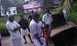 തോട്ടിലെ മല്‍സ്യങ്ങള്‍ ചത്തുപൊങ്ങി