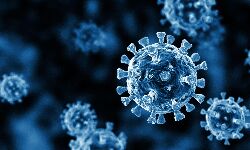 വയനാട് ജില്ലയില്‍ 457 പേര്‍ക്ക് കൂടി കൊവിഡ്; ടെസ്റ്റ് പോസിറ്റിവിറ്റി റേറ്റ് 19.90