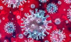 കോഴിക്കോട് ജില്ലയില്‍ ഇന്ന് 1275 പേര്‍ക്ക് കൊവിഡ്; രോഗമുക്തി 2184, ടി.പി.ആര്‍ 13.63%