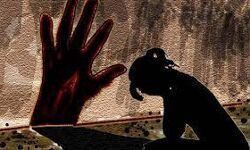 വയറുവേദനയെ തുടര്ന്ന് ആശുപത്രിയിലെത്തിച്ച 14കാരി പ്രസവിച്ചു; പീഡിപ്പിച്ചത് ബന്ധുവെന്ന് പരാതി വയറുവേദനയെ തുടര്ന്ന് ആശുപത്രിയിലെത്തിച്ച 14കാരി പ്രസവിച്ചു; പീഡിപ്പിച്ചത് ബന്ധുവെന്ന് പരാതി