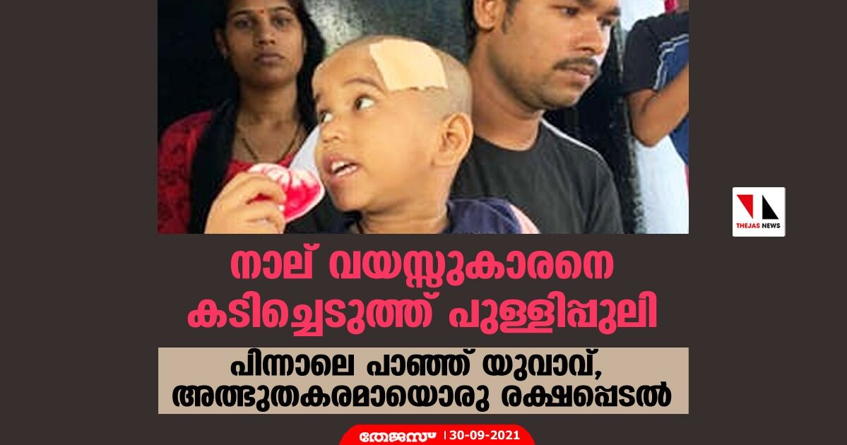 നാല് വയസ്സുകാരനെ കടിച്ചെടുത്ത് പുള്ളിപ്പുലി; പിന്നാലെ പാഞ്ഞ് യുവാവ്, അത്ഭുതകരമായൊരു രക്ഷപ്പെടല്‍