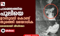 പാഞ്ഞെത്തിയ പുലിയെ ഊന്നുവടി കൊണ്ട് തുരത്തി വയോധിക; വൈറലായി വീഡിയോ