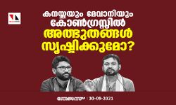 കനയ്യയും മേവാനിയും കോണ്‍ഗ്രസ്സില്‍ അത്ഭുതങ്ങള്‍ സൃഷ്ടിക്കുമോ?