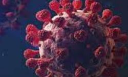 കോഴിക്കോട് ജില്ലയില്‍ ഇന്ന് 1360 പേര്‍ക്ക് കൊവിഡ്: ടെസ്റ്റ് പോസിറ്റിവിറ്റി നിരക്ക് 15.34 %