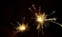 ഒഡീഷയിലും പടക്കങ്ങളുടെ ഉപയോഗവും വില്‍പ്പനയും നിരോധിച്ചു