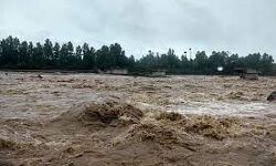 เดฐเดเตเดฐเดฟเดฏเดฟเดฒเตโ เดตเตเดณเตเดณเดชเตเดชเตเดเตเดเด; เดตเดฏเดฒเดฟเดฒเตโ เดเตเดฒเดฟ เดเตเดฏเตเดฏเตเดเดฏเดพเดฏเดฟเดฐเตเดจเตเดจ เดฐเดฃเตเดเต เดธเตเดคเตเดฐเตเดเดณเตโ เดเดดเตเดเดฟเดชเตเดชเตเดฏเดฟ เดฐเดเตเดฐเดฟเดฏเดฟเดฒเตโ เดตเตเดณเตเดณเดชเตเดชเตเดเตเดเด; เดตเดฏเดฒเดฟเดฒเตโ เดเตเดฒเดฟ เดเตเดฏเตเดฏเตเดเดฏเดพเดฏเดฟเดฐเตเดจเตเดจ เดฐเดฃเตเดเต เดธเตเดคเตเดฐเตเดเดณเตโ เดเดดเตเดเดฟเดชเตเดชเตเดฏเดฟ