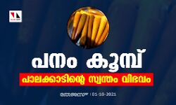 പനം കൂമ്പ്; പാലക്കാടിന്റെ സ്വന്തം വിഭവം