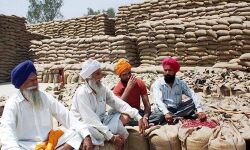 ധാന്യ സംഭരണം നീട്ടിവച്ചത് കര്‍ഷകരോടുള്ള പ്രതികാര നടപടി; കേന്ദ്രത്തിനെതിരേ അകാലിദള്‍