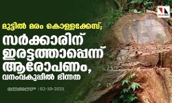 മുട്ടിൽ മരം കൊള്ളക്കേസ്; സർക്കാരിന് ഇരട്ടത്താപ്പെന്ന് ആരോപണം, വനംവകുപ്പിൽ ഭിന്നത