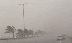 ഷഹീന് ചുഴലിക്കാറ്റ് ഒമാന് തീരത്തേക്ക്; യുഎഇയിലും മുന്നറിയിപ്പ് ഷഹീന് ചുഴലിക്കാറ്റ് ഒമാന് തീരത്തേക്ക്; യുഎഇയിലും മുന്നറിയിപ്പ്