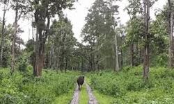 เดตเดจเดฎเตเดเดฒเดเดณเดฟเดฒเตโ เดเดตเดพเดธ เดตเตเดฏเดตเดธเตเดฅ เดจเดฟเดฒเดจเดฟเดฐเตโเดคเตเดคเดพเดจเตเดณเตเดณ เดชเตเดฐเดตเดฐเตโเดคเตเดคเดจเดเตเดเดณเตโ เดธเดเตเดตเดฎเดพเดเตเดเตเด; เดซเดฒเดตเตเดเตเดทเดเตเดเดณเตโ เดจเดเตเดเตเดชเดฟเดเดฟเดชเตเดชเดฟเดเตเดเตเดฎเตเดจเตเดจเตเด เดฎเตเดเตเดฏเดฎเดจเตเดคเตเดฐเดฟ เดตเดจเดฎเตเดเดฒเดเดณเดฟเดฒเตโ เดเดตเดพเดธ เดตเตเดฏเดตเดธเตเดฅ เดจเดฟเดฒเดจเดฟเดฐเตโเดคเตเดคเดพเดจเตเดณเตเดณ เดชเตเดฐเดตเดฐเตโเดคเตเดคเดจเดเตเดเดณเตโ เดธเดเตเดตเดฎเดพเดเตเดเตเด; เดซเดฒเดตเตเดเตเดทเดเตเดเดณเตโ เดจเดเตเดเตเดชเดฟเดเดฟเดชเตเดชเดฟเดเตเดเตเดฎเตเดจเตเดจเตเด เดฎเตเดเตเดฏเดฎเดจเตเดคเตเดฐเดฟ