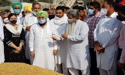 เดฎเตเดเตเดฏเดฎเดจเตเดคเตเดฐเดฟเดฏเตเดเต เดเดเดชเตเดเดฒเตโ เดซเดฒเดฟเดเตเดเต; เดชเดเตเดเดพเดฌเดฟเดฒเตโ เดงเดพเดจเตเดฏ เดธเดเดญเดฐเดฃเด เดเดฐเดเดญเดฟเดเตเดเต เดฎเตเดเตเดฏเดฎเดจเตเดคเตเดฐเดฟเดฏเตเดเต เดเดเดชเตเดเดฒเตโ เดซเดฒเดฟเดเตเดเต; เดชเดเตเดเดพเดฌเดฟเดฒเตโ เดงเดพเดจเตเดฏ เดธเดเดญเดฐเดฃเด เดเดฐเดเดญเดฟเดเตเดเต