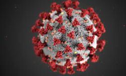 കോഴിക്കോട് ജില്ലയില്‍ ഇന്ന് 892 പേര്‍ക്ക് കൊവിഡ്; രോഗമുക്തി 1734, ടിപിആര്‍ 13.97%