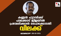 കണ്ണൻ പട്ടാമ്പിക്ക് പാലക്കാട് ജില്ലയിൽ പ്രവേശിക്കാൻ ഹൈക്കോടതി വിലക്ക്
