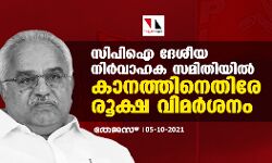 സിപിഐ ദേശീയ നിർവാഹക സമിതിയിൽ കാനത്തിനെതിരേ രൂക്ഷ വിമർശനം