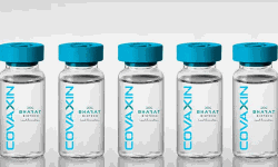 കൊവാക്സിന് അനുമതി; ലോകാരോഗ്യ സംഘടനയുടെ തീരുമാനം വൈകും കൊവാക്സിന് അനുമതി; ലോകാരോഗ്യ സംഘടനയുടെ തീരുമാനം വൈകും