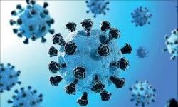 കോഴിക്കോട് ജില്ലയില്‍ ഇന്ന് 1265 പേര്‍ക്ക് കൊവിഡ്; രോഗമുക്തി 2322, ടി.പി.ആര്‍ 13.81 %