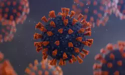 വയനാട് ജില്ലയില്‍ 440 പേര്‍ക്ക് കൂടി കൊവിഡ്; ടെസ്റ്റ് പോസിറ്റിവിറ്റി റേറ്റ് 15.96