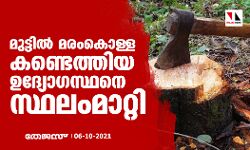 മുട്ടില് മരംകൊള്ള കണ്ടെത്തിയ ഉദ്യോഗസ്ഥനെ സ്ഥലംമാറ്റി മുട്ടില് മരംകൊള്ള കണ്ടെത്തിയ ഉദ്യോഗസ്ഥനെ സ്ഥലംമാറ്റി