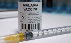 ലോകത്തിലെ ആദ്യ മലേറിയ വാക്‌സിന് ലോകാരോഗ്യസംഘടനയുടെ അംഗീകാരം