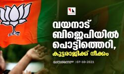വയനാട് ബിജെപിയില്‍ പൊട്ടിത്തെറി, കൂട്ടരാജിക്ക് നീക്കം