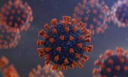 വയനാട് ജില്ലയില്‍ ഇന്ന് 337 പേര്‍ക്ക് കൂടി കൊവിഡ്; ടെസ്റ്റ് പോസിറ്റിവിറ്റി റേറ്റ് 13.38