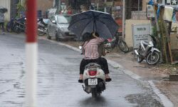 ഇരുചക്ര വാഹനങ്ങളില് ഇനി കുട ചൂടി യാത്ര പാടില്ല; ഉത്തരവുമായി ഗതാഗത കമ്മീഷണര് ഇരുചക്ര വാഹനങ്ങളില് ഇനി കുട ചൂടി യാത്ര പാടില്ല; ഉത്തരവുമായി ഗതാഗത കമ്മീഷണര്