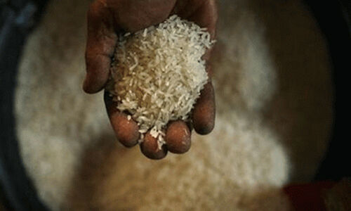 ഊടുവഴികളിലൂടെ തമിഴ്നാട്ടില് നിന്ന് പാലക്കാട്ടേക്ക് റേഷന് അരി കടത്തുന്ന സംഘങ്ങള് സജീവം ഊടുവഴികളിലൂടെ തമിഴ്നാട്ടില് നിന്ന് പാലക്കാട്ടേക്ക് റേഷന് അരി കടത്തുന്ന സംഘങ്ങള് സജീവം