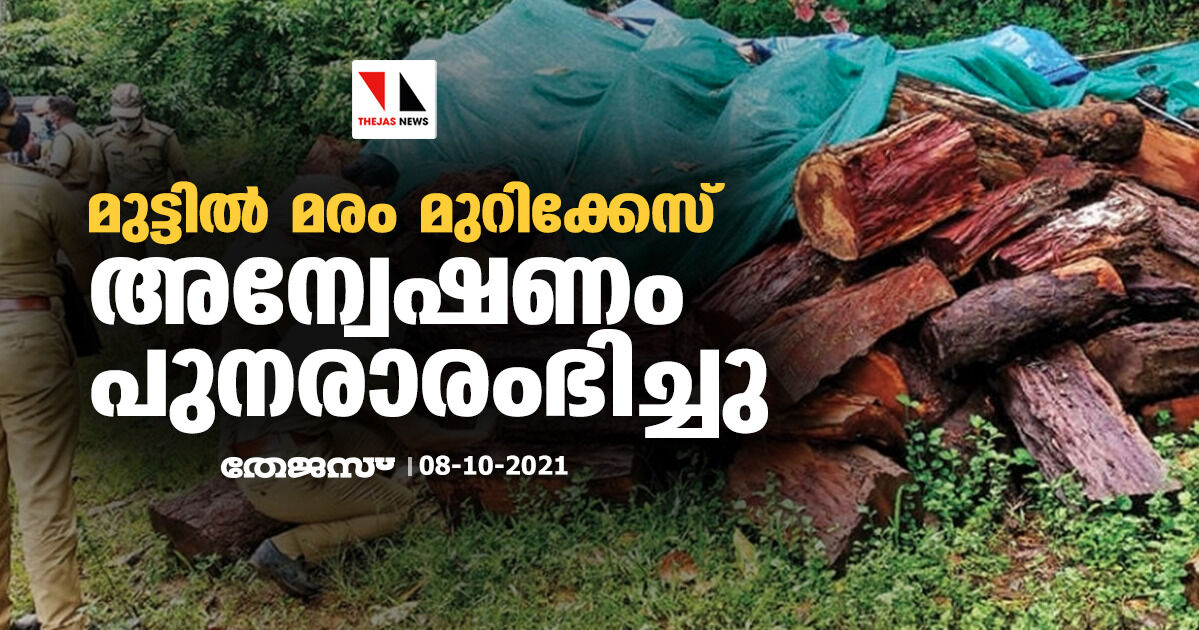 മുട്ടില് മരം മുറിക്കേസ്: അന്വേഷണം പുനരാരംഭിച്ചു മുട്ടില് മരം മുറിക്കേസ്: അന്വേഷണം പുനരാരംഭിച്ചു