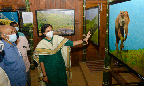 കാടിനെ അറിഞ്ഞ് കാഴ്ചകള് കാണാം: കാടകം ഫോട്ടോ പ്രദര്ശനത്തിന് തുടക്കം കാടിനെ അറിഞ്ഞ് കാഴ്ചകള് കാണാം: കാടകം ഫോട്ടോ പ്രദര്ശനത്തിന് തുടക്കം