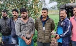 കഞ്ചാവ് കടത്ത്: ഒരാള്‍ അറസ്റ്റില്‍; ആറ് കിലോ കഞ്ചാവും വാഹനവും പിടികൂടി