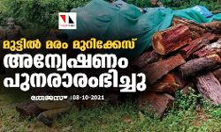 മുട്ടില്‍ മരം മുറിക്കേസ്: അന്വേഷണം പുനരാരംഭിച്ചു