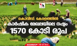 കൊവിഡ്: കേരളത്തിൽ കാർഷിക മേഖലയിലെ നഷ്ടം 1570 കോടി രൂപ