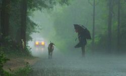 ബംഗാള്‍ ഉള്‍ക്കടലില്‍ ന്യൂനമര്‍ദ്ദം; സംസ്ഥാനത്ത് അഞ്ച് ദിവസം കനത്ത മഴക്ക് സാധ്യത