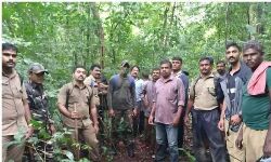 വനത്തില്‍ കുടുങ്ങിയ പോലിസ് ഉദ്യോഗസ്ഥരെ തിരിച്ചെത്തിച്ചു