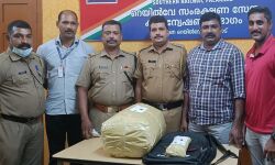 പാലക്കാട്: ട്രെയിനില്‍ കടത്തുകയായിരുന്ന 9.5 കിലോ കഞ്ചാവ് പിടികൂടി