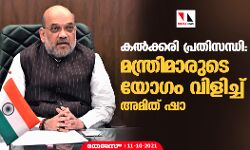 കല്‍ക്കരി പ്രതിസന്ധി: മന്ത്രിമാരുടെ യോഗം വിളിച്ച് അമിത് ഷാ
