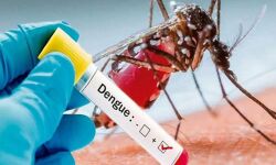 ഡല്‍ഹിയില്‍ ഡെങ്കിപ്പനി പടരുന്നു; 11 ദിവസത്തിനിടെ സ്ഥിരീകരിച്ചത് 139 കേസുകള്‍