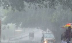 เดฎเดด เดคเตเดเดฐเตเดจเตเดจเต; เดเตเดดเดฟเดเตเดเตเดเต เดคเดพเดฒเตเดเตเดเดฟเดฒเตโ เดเตเดฏเดพเดฎเตเดชเตเดเดณเตโ เดคเตเดฑเดจเตเดจเต เดฎเดด เดคเตเดเดฐเตเดจเตเดจเต; เดเตเดดเดฟเดเตเดเตเดเต เดคเดพเดฒเตเดเตเดเดฟเดฒเตโ เดเตเดฏเดพเดฎเตเดชเตเดเดณเตโ เดคเตเดฑเดจเตเดจเต