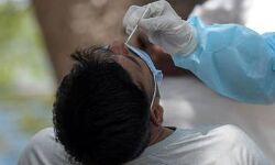 പാലക്കാട് ജില്ലയില്‍ 592 പേര്‍ക്ക് കൊവിഡ് സ്ഥിരീകരിച്ചു