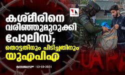 കശ്മീരിനെ വരിഞ്ഞുമുറുക്കി പോലിസ്; തൊട്ടതിനും പിടിച്ചതിനും യുഎപിഎ