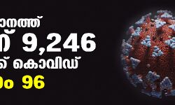 സംസ്ഥാനത്ത് ഇന്ന് 9246 പേര്‍ക്ക് കൊവിഡ്;   മരണം 96