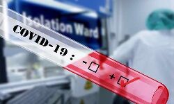 പാലക്കാട് ജില്ലയില്‍ ഇന്ന് 359 പേര്‍ക്ക് കൊവിഡ്; 582 പേര്‍ക്ക് രോഗമുക്തി