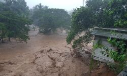 ഇടുക്കിയിൽ വിനോദ സഞ്ചാര- തോട്ടം മേഖലകളിൽ നിയന്ത്രണം