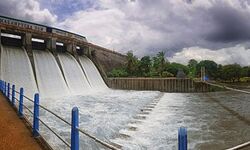 വൃഷ്ടിപ്രദേശങ്ങളില്‍ മഴ കനത്തു; മലമ്പുഴ ഡാം തുറന്നു