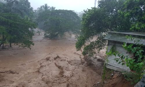 ഇടുക്കിയിൽ വിനോദ സഞ്ചാര- തോട്ടം മേഖലകളിൽ നിയന്ത്രണം