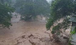 കോട്ടയം കൂട്ടിക്കലില്‍ മൂന്ന് മൃതദേഹങ്ങള്‍ കൂടി ലഭിച്ചു